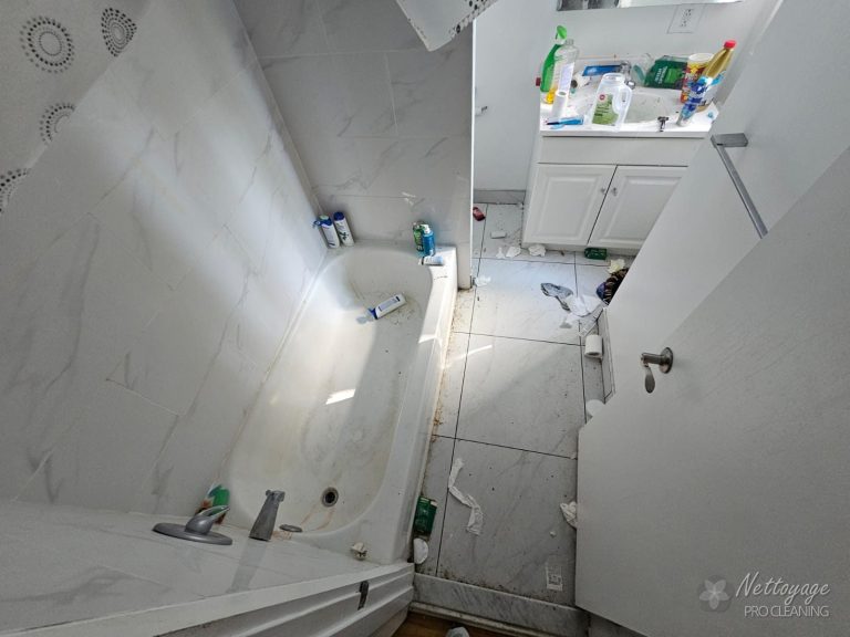 Bathroom before deep cleaning