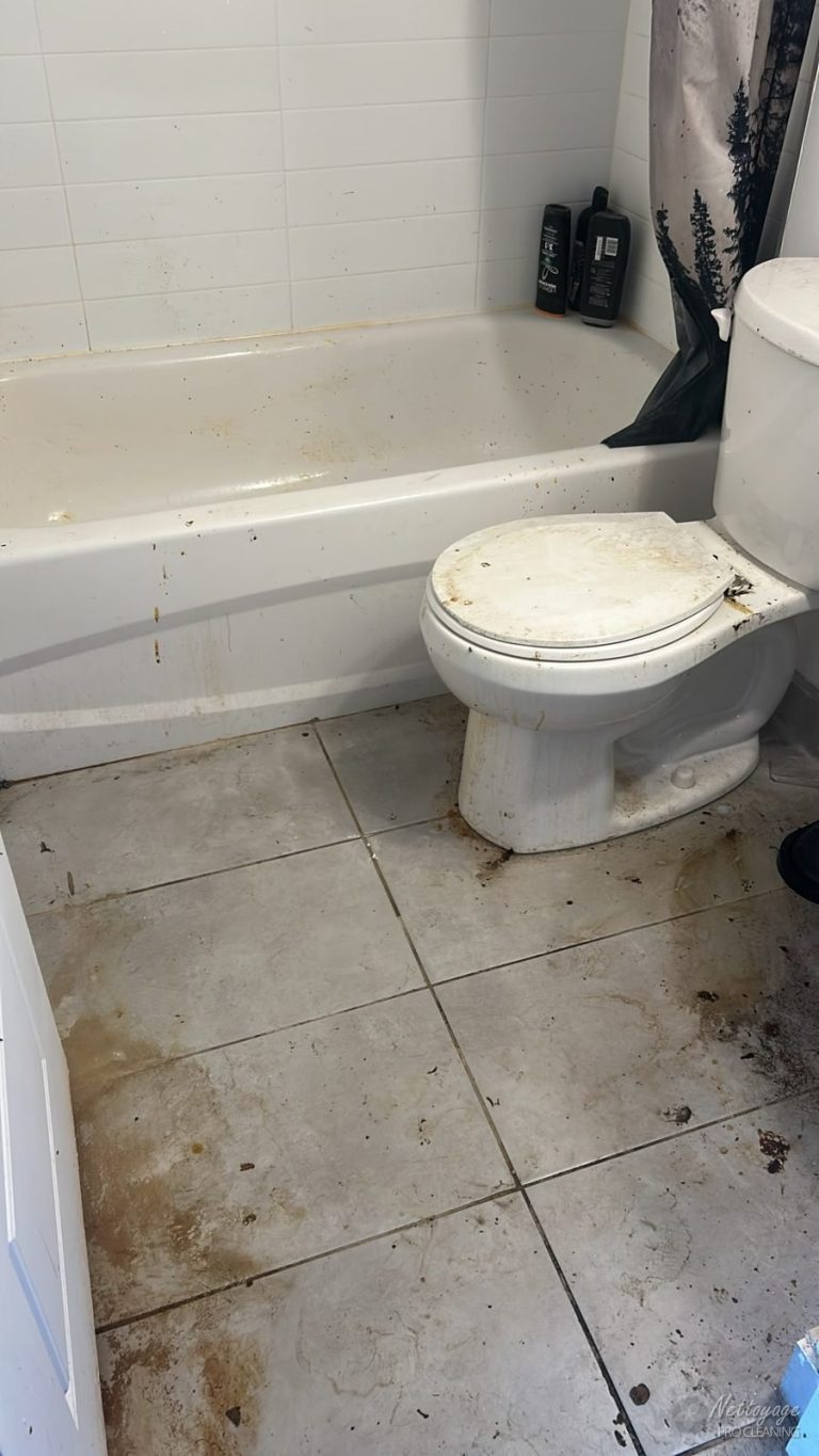 Heavily soiled bathroom before extreme cleaning
