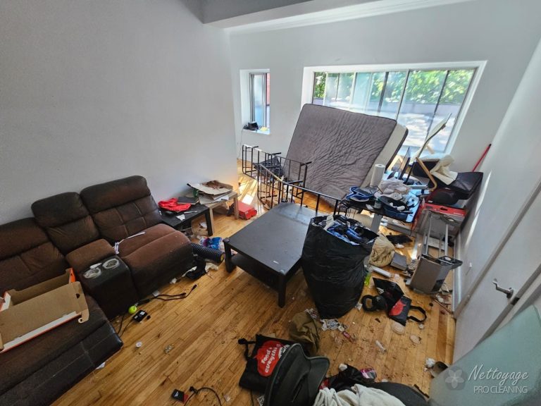 Living room before an extreme deep clean